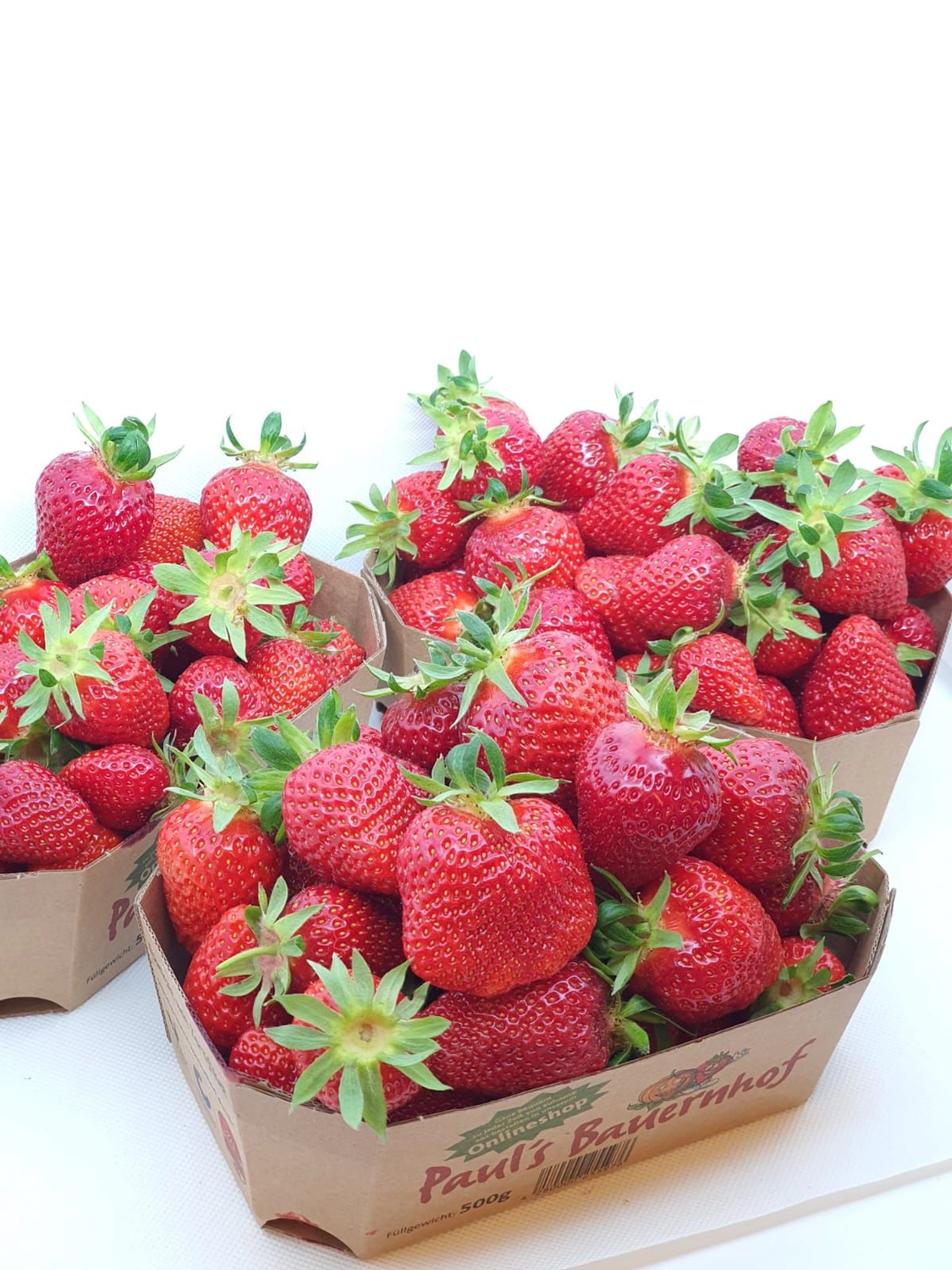 Konditorei Café Gerwig – Eisdiele – Kuchen